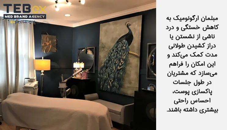 برخورداری از مبلمان راحت و ارگونومیک